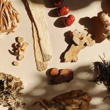 The Science of Dosing: Why Personalized Gives Best Results