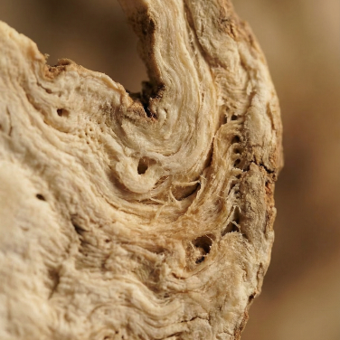 White Peony Root
